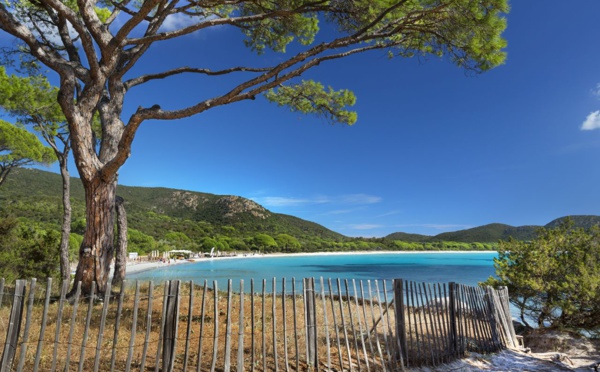 Porto Vecchio, toujours la star