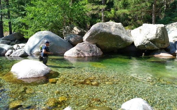 Pêche à la truite en Corse : le guide complet pour les passionnés
