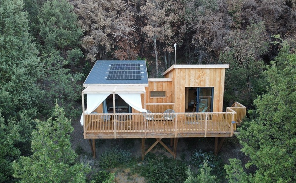 Dormir dans les arbres en Corse : quand l'hébergement insolite rencontre l'île de Beauté