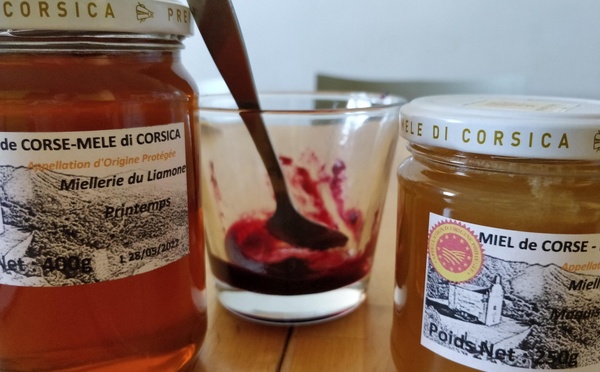 Miel de Corse : tout comprendre à un produit d'exception (et fragile)