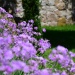 hotel-a-piattatela-monticello-corsicamore-13