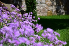 hotel-a-piattatela-monticello-corsicamore-13