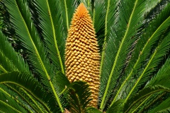 hotel-a-piattatela-monticello-corsicamore-63