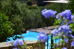 hotel-a-piattatela-monticello-corsicamore-97