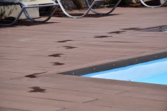 hotel-a-piattatela-monticello-corsicamore-103