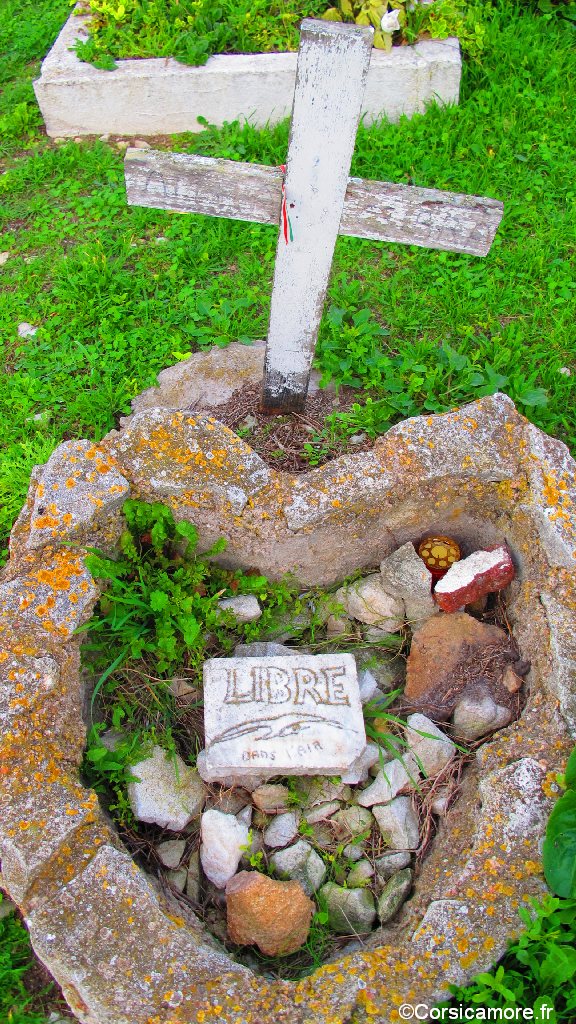 Bonifacio-Porto-Vecchio-Novembre-2012-23 Bonifacio-Porto-Vecchio-Novembre-2012-23